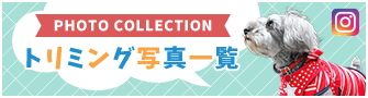 トリミング写真一覧
