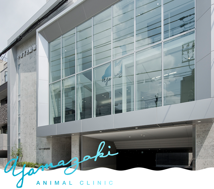 やまざき動物病院