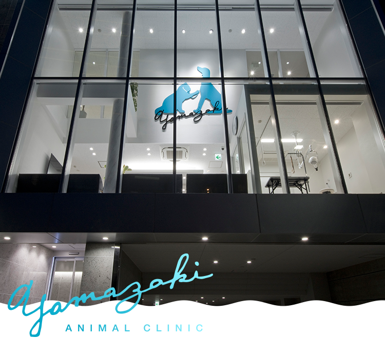 やまざき動物病院