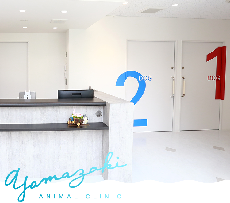 やまざき動物病院