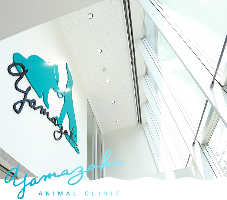 やまざき動物病院