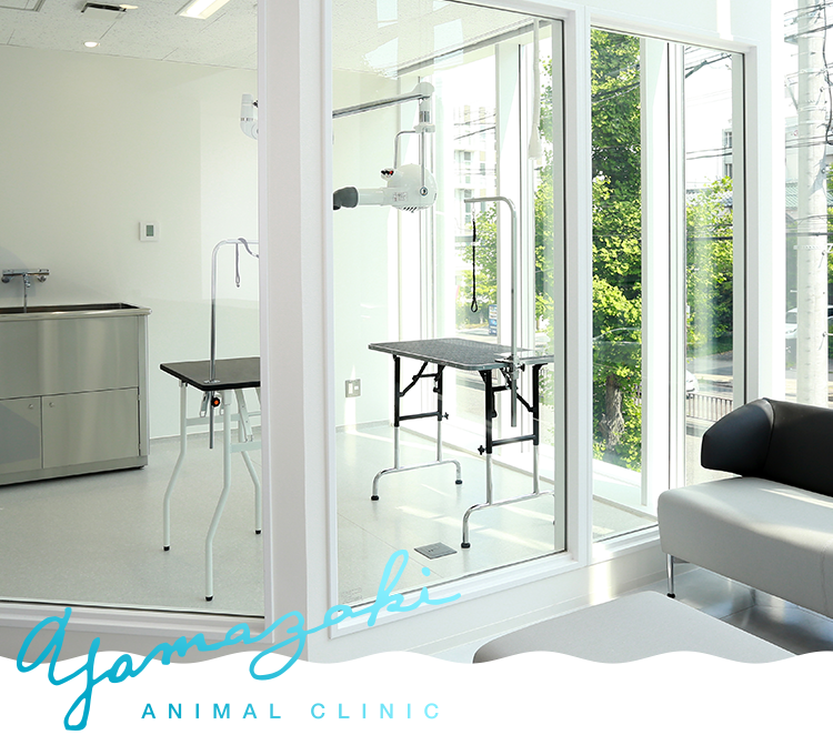 やまざき動物病院