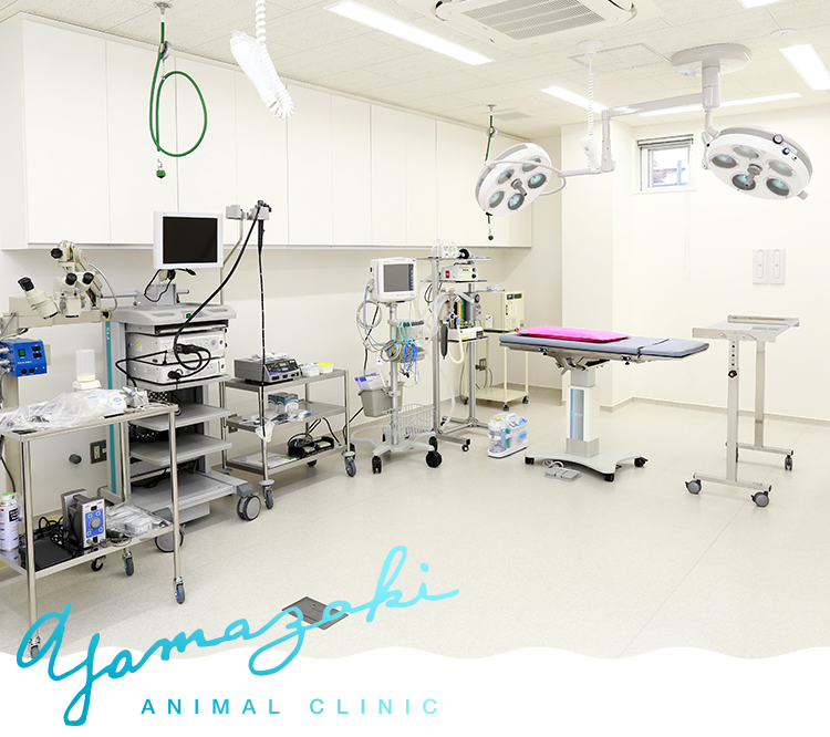 やまざき動物病院