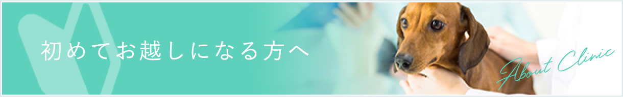 初めてお越しになる方へ