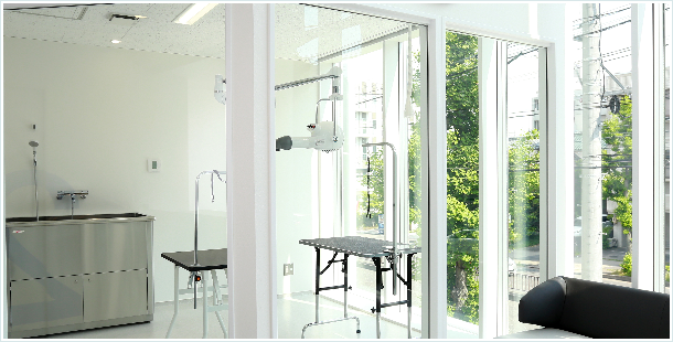 獣医師監修のトリミング・ペットホテル